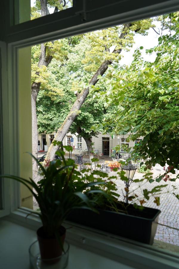 Cafe Alice & Pension Gmbh Potsdam Exterior photo